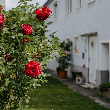 Ferienwohnung Morgensonne Schützen am Gebirge Eksteriør billede